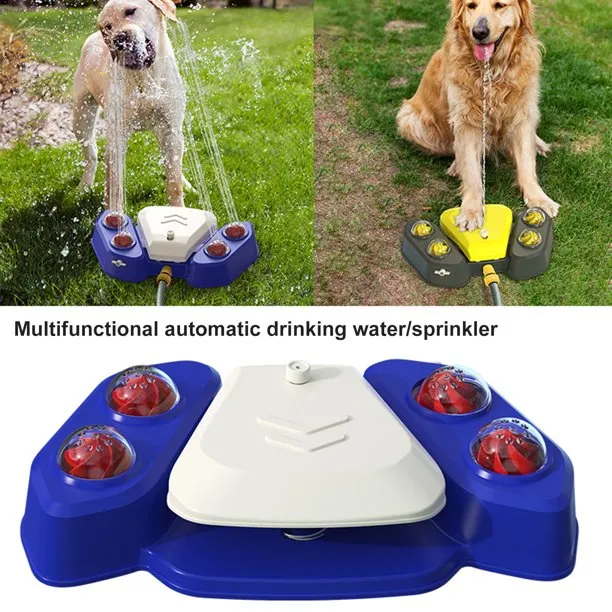 2023 Dog Drinking Feeder Trainner
